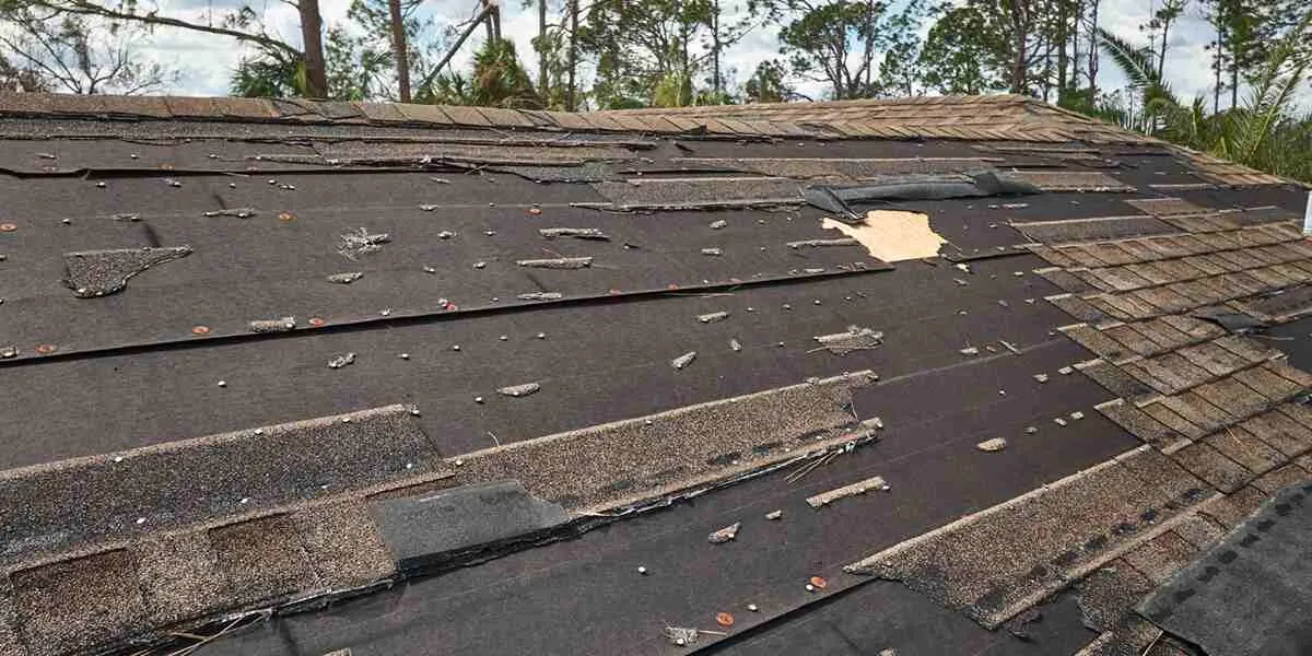 Common Roof Problems
