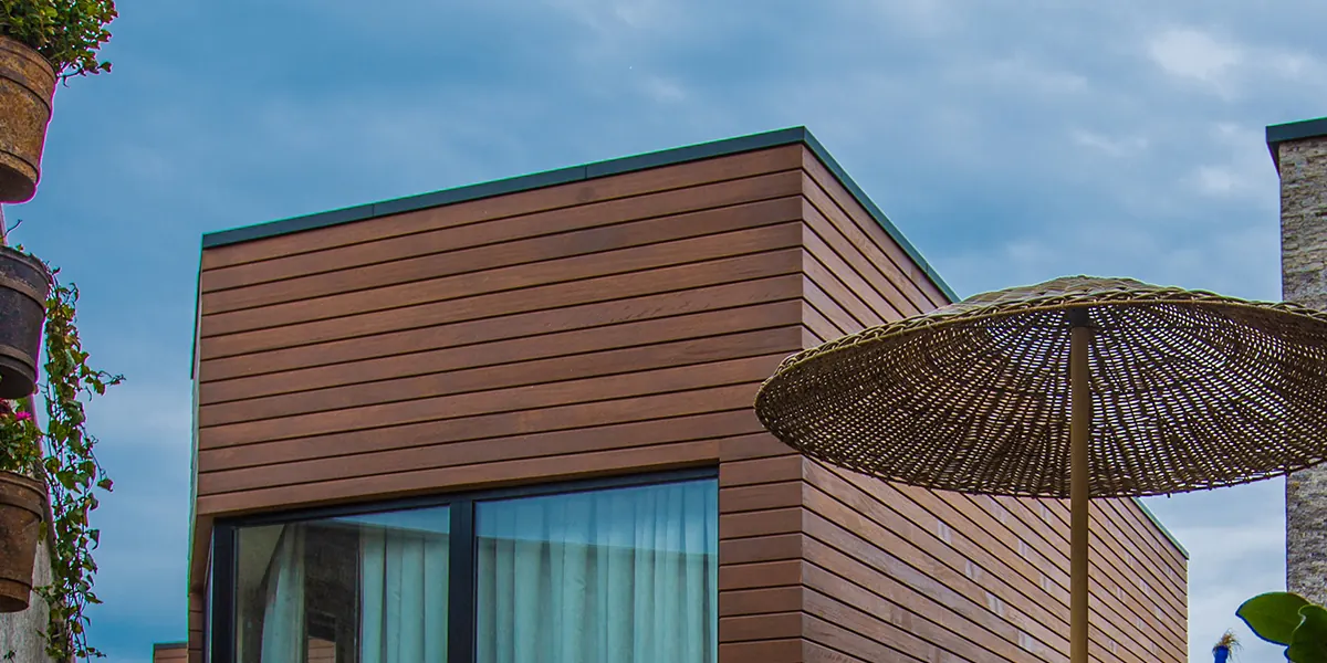 water on flat roof