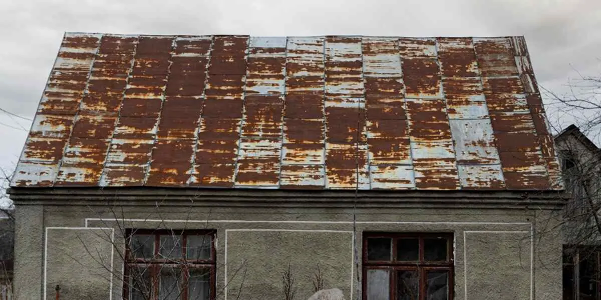 roof rot