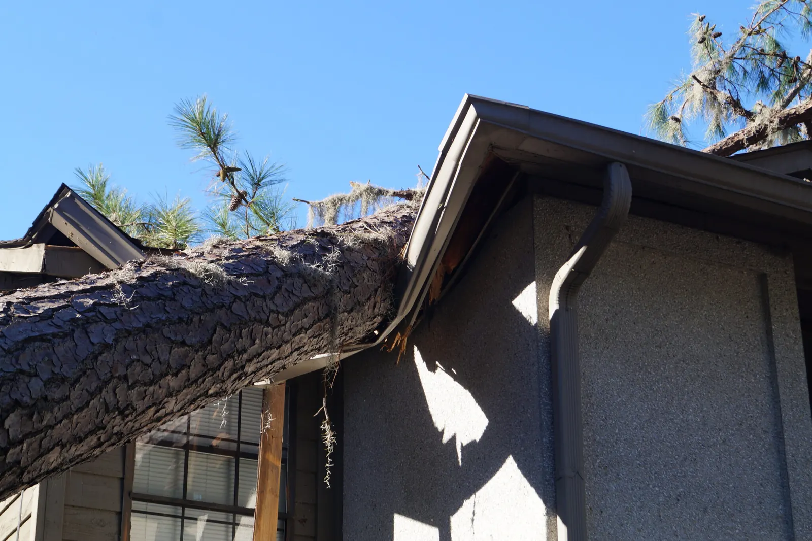 Storm Damage on a roof