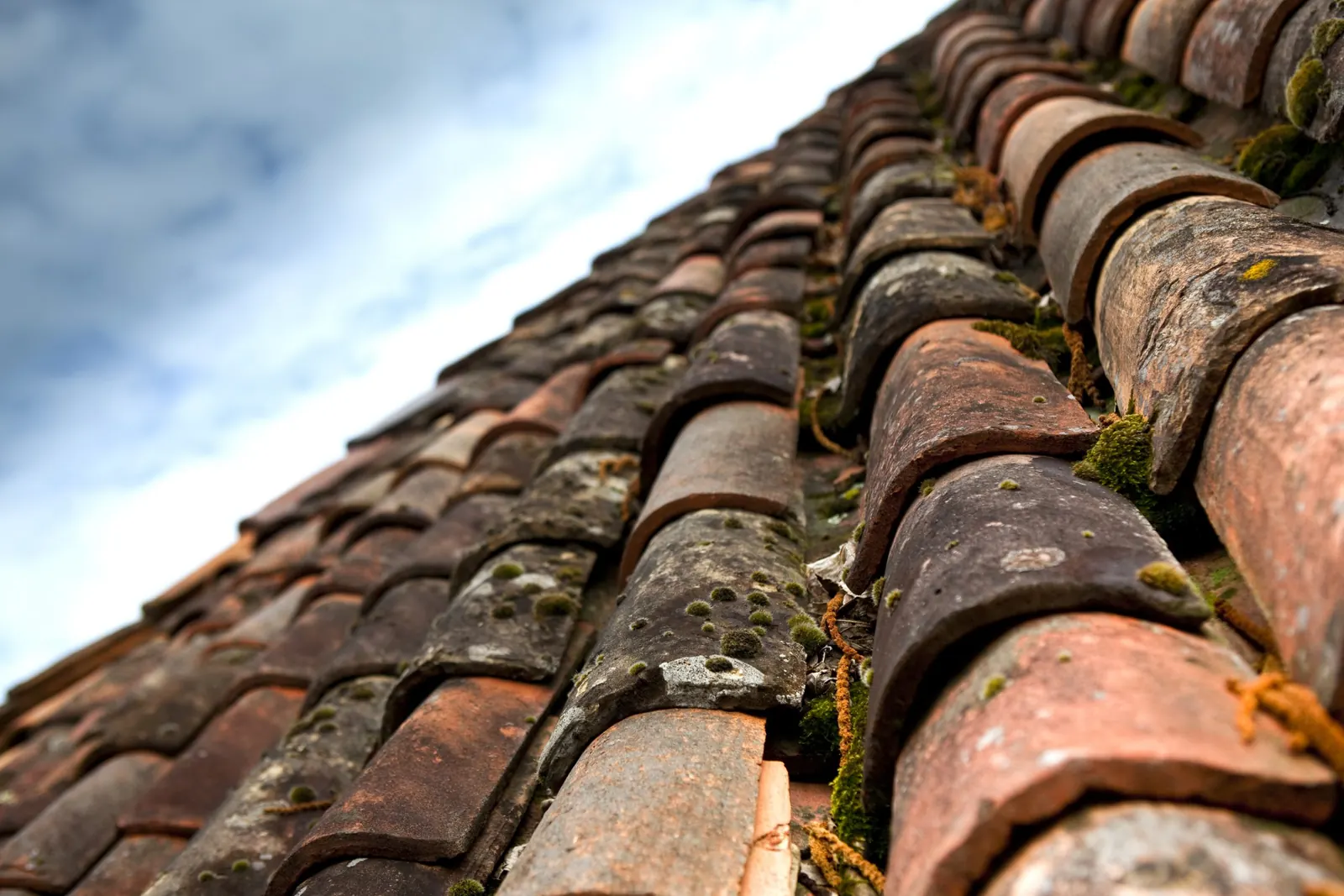 causes of black stains on roof