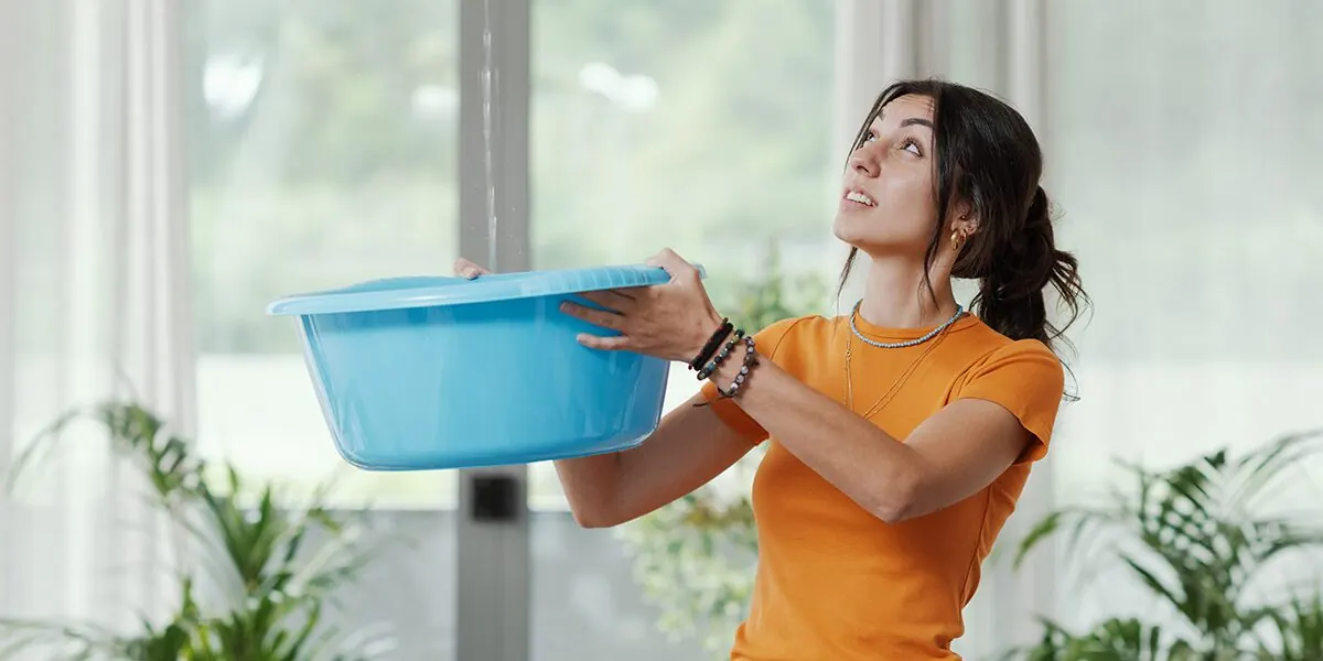what to do if roof is leaking