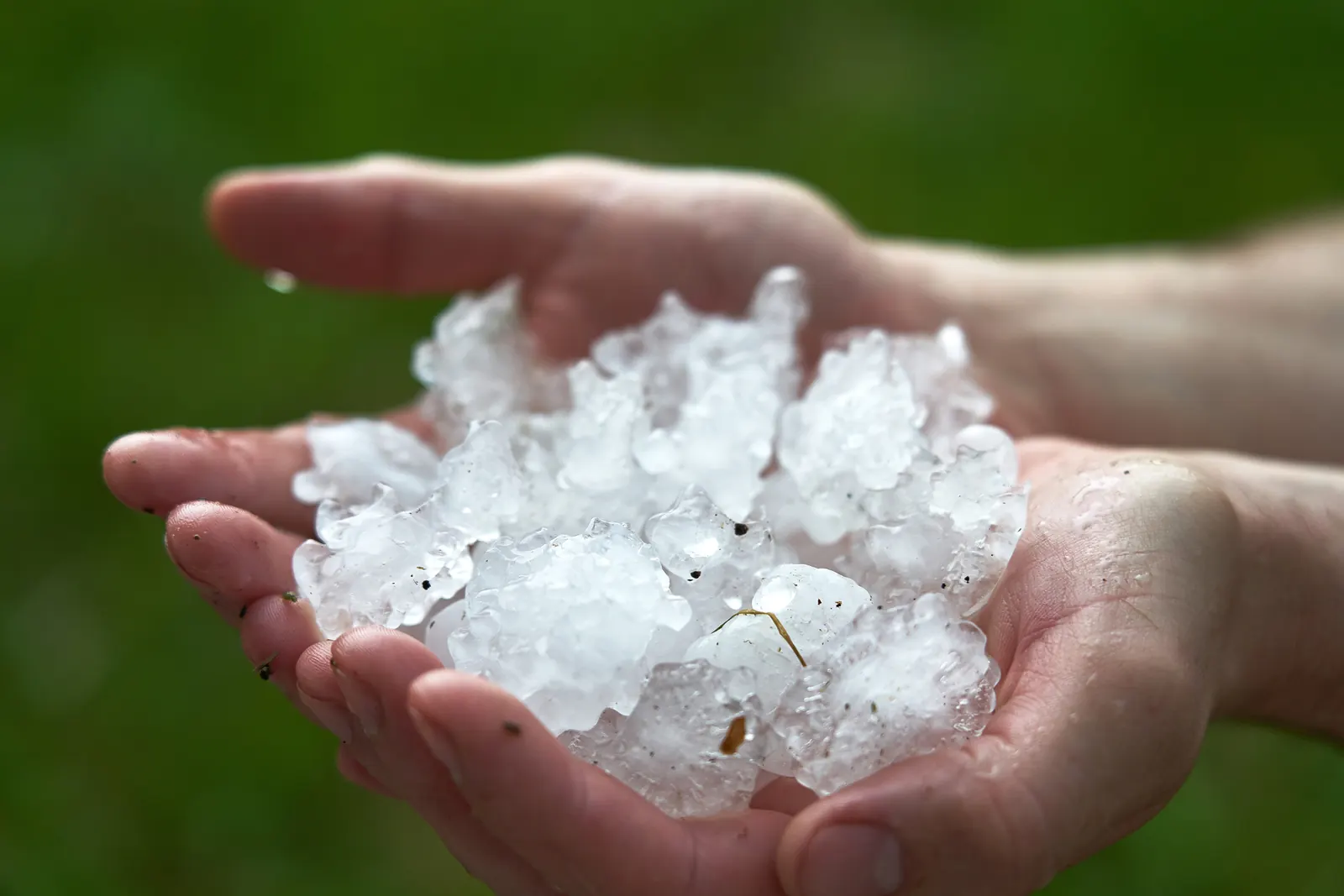 Will Insurance Pay for Hail Damage to Metal Roof