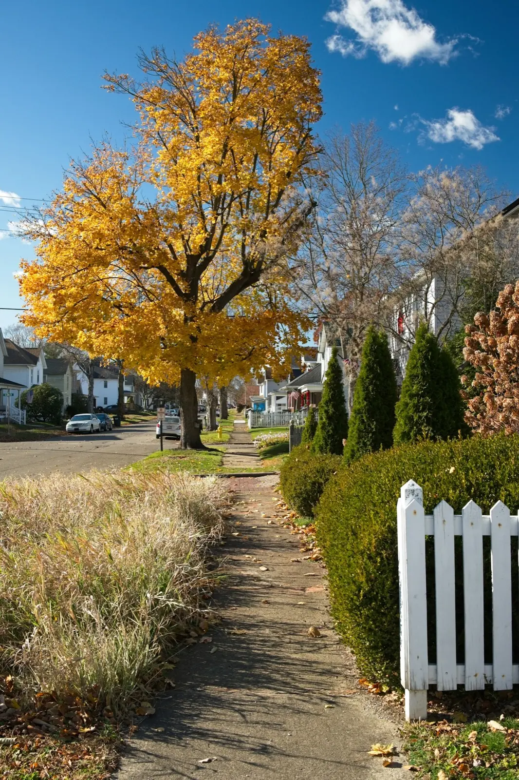 A Falls Church home