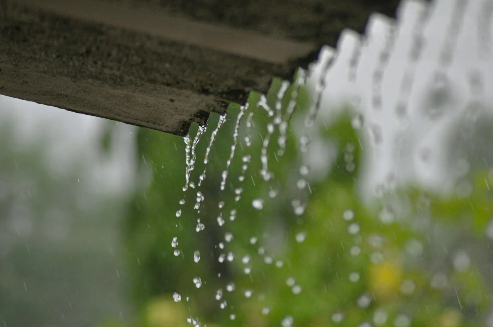 Close-up of heavy rainwater cascading off the exposed edge of a corrugated roof against a backdrop of lush green foliage during a steady downpour