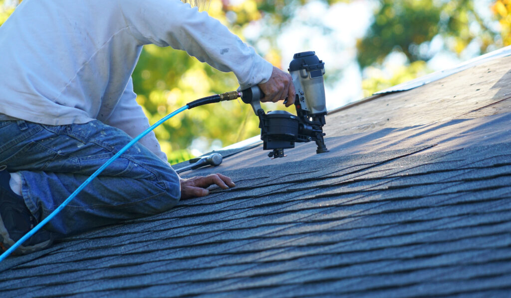 Roof Repair Specialist