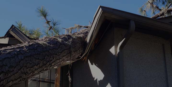 Storm Damage Service